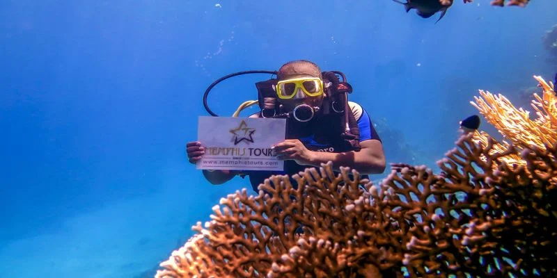 Schnorchel in der Nähe von Tiran Insel